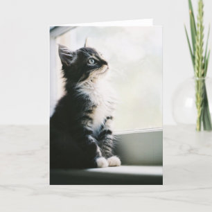 Tarjeta de felicitación de las ilusiones