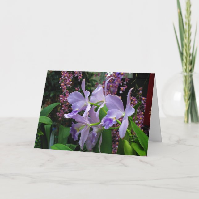 Tarjeta de felicitación de las orquídeas (Anverso)