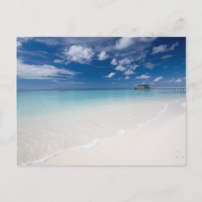 Tarjeta de felicitación de las vacaciones (Anverso)