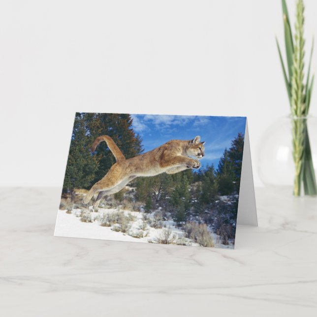 Tarjeta de felicitación de león de montaña (Anverso)