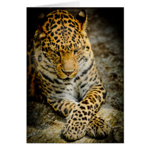 Tarjeta de felicitación de leopardo restante