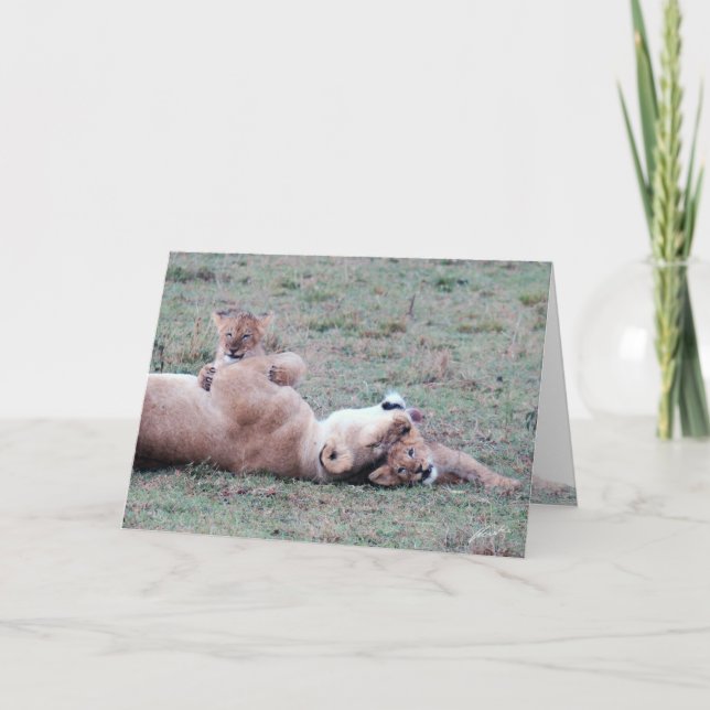Tarjeta de felicitación de Lioness & Cubs (Anverso)