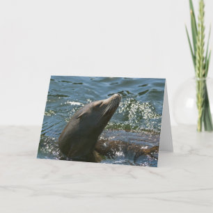 Tarjeta de Felicitación de Lobo Marino