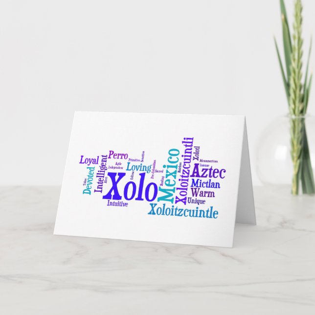 Tarjeta de felicitación de los azules de Xolo (Anverso)