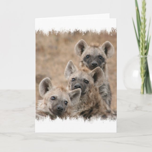 Tarjeta de felicitación de los Hyenas (Anverso)