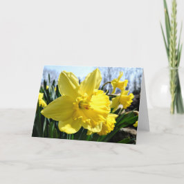 Tarjeta de felicitación de los narcisos, interior