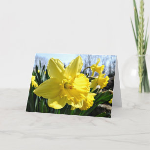 Tarjeta de felicitación de los narcisos, interior