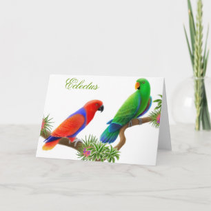 Tarjeta de felicitación de los pájaros de Eclectus