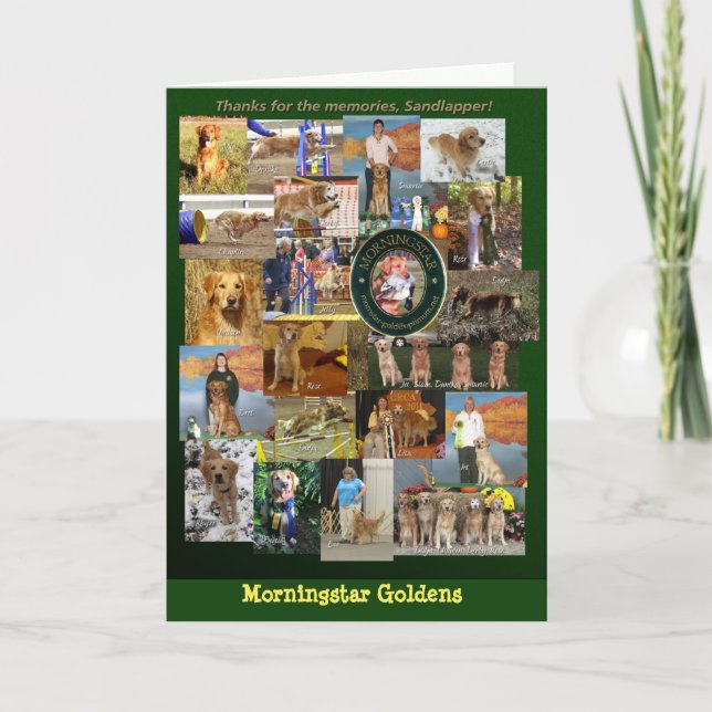 Tarjeta de felicitación de los perros perdigueros (Anverso)
