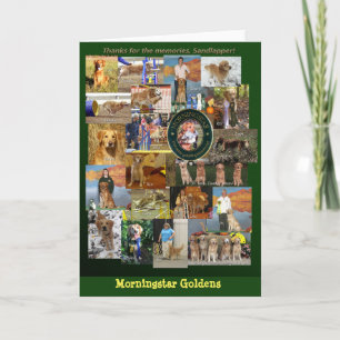 Tarjeta de felicitación de los perros perdigueros
