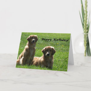 Tarjeta de felicitación de los perros perdigueros