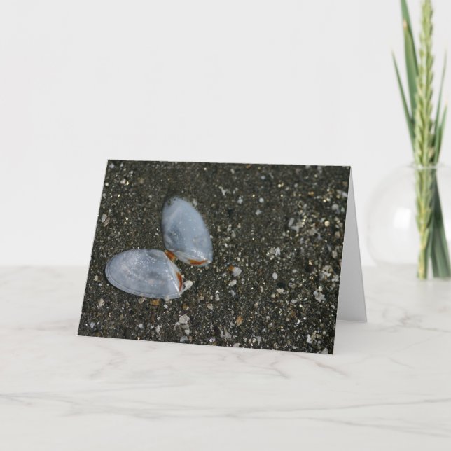 Tarjeta de felicitación de los seashells de la (Anverso)