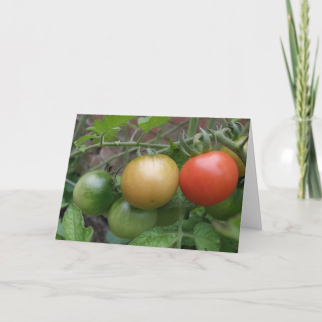 Tarjeta de felicitación de los tomates del (Anverso)