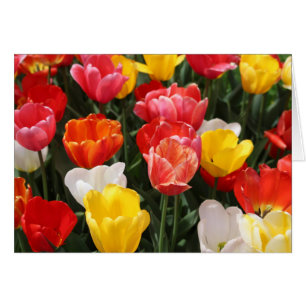 Tarjeta de felicitación de los tulipanes