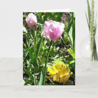 Tarjeta de felicitación de los tulipanes
