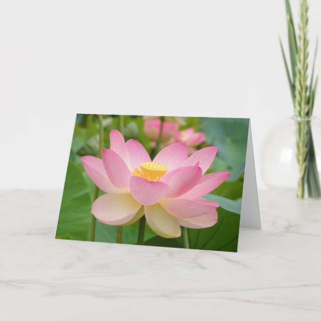 Tarjeta de felicitación de Lotus Blossum (Anverso)