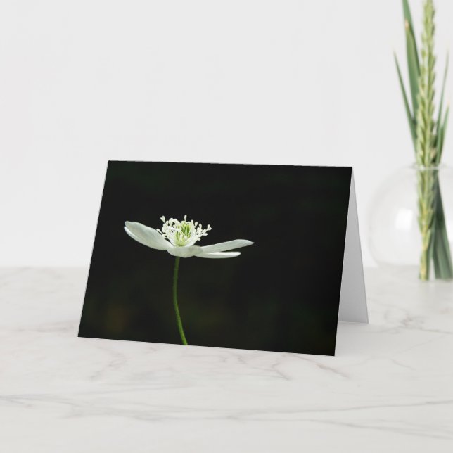 Tarjeta de felicitación de madera del Wildflower (Anverso)