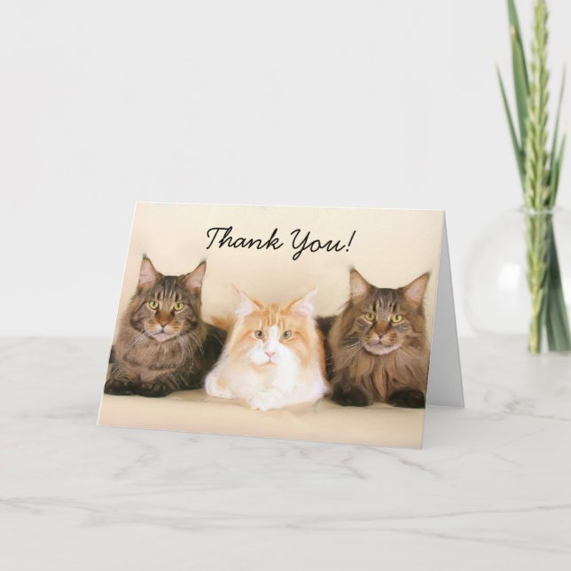 Tarjeta de felicitación de Maine Coon Cats (Anverso)