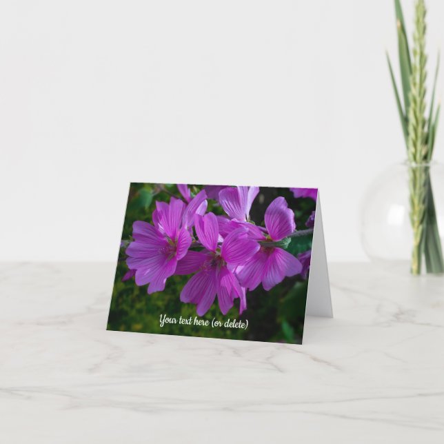 Tarjeta de felicitación de Malva arbórea (Anverso)