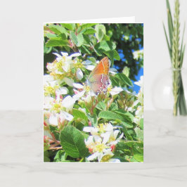 Tarjeta de felicitación de mariposa arcoiris real