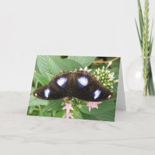 Tarjeta de felicitación de mariposa con manchas az