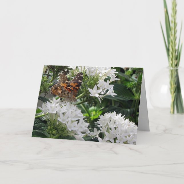 Tarjeta de felicitación de mariposa Lady Pintada (Anverso)