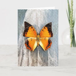 Tarjeta de felicitación de mariposa V4 para charca