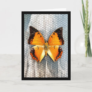 Tarjeta de felicitación de mariposa V5 para charca
