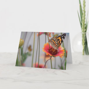 Tarjeta de felicitación de mariposas de todas las