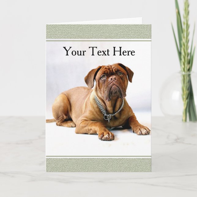 Tarjeta de felicitación de Mastín / perro sobre fo (Anverso)