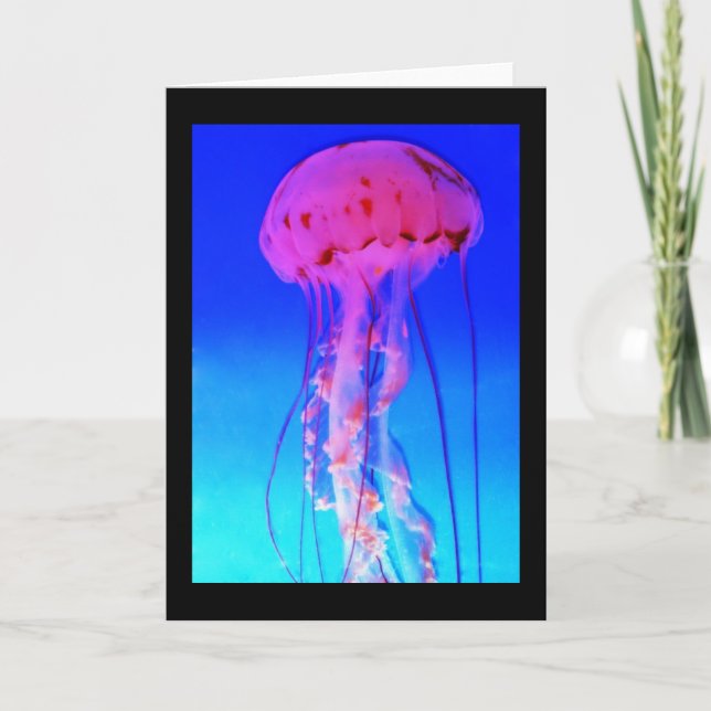 Tarjeta de felicitación de medusas (Anverso)