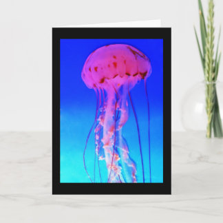 Tarjeta de felicitación de medusas