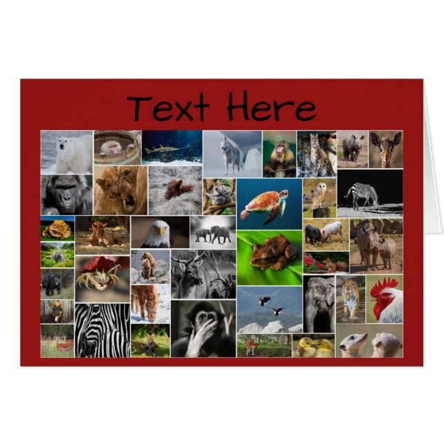 Tarjeta de felicitación de mi Reino de los Animale (Anverso (Horizontal))