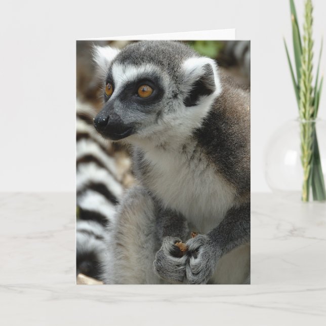 Tarjeta de felicitación de mono Lemur (Anverso)