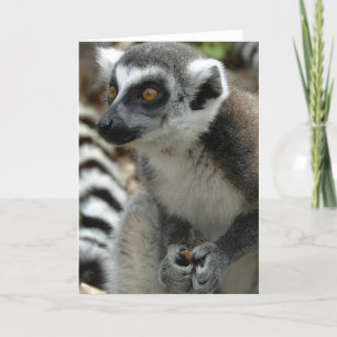 Tarjeta de felicitación de mono Lemur
