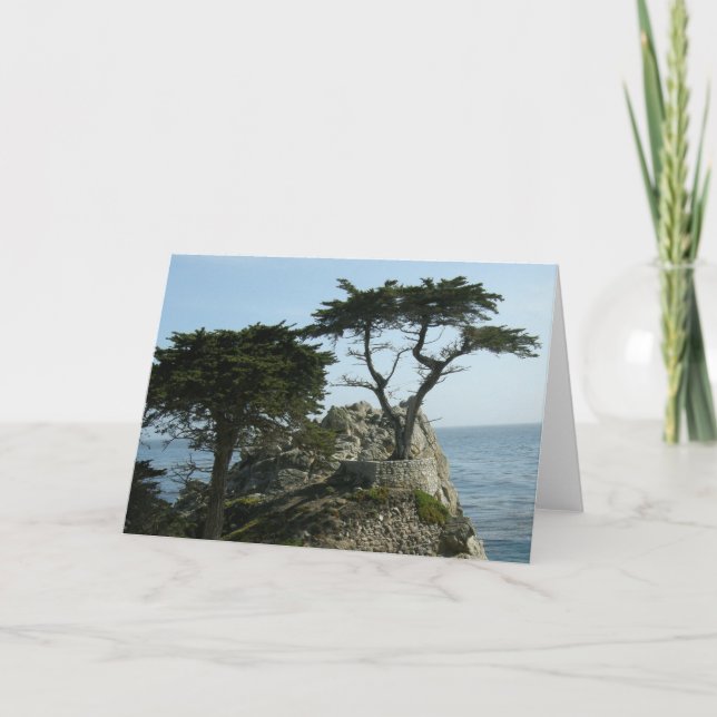 Tarjeta de felicitación de Monterey Cypress (Anverso)