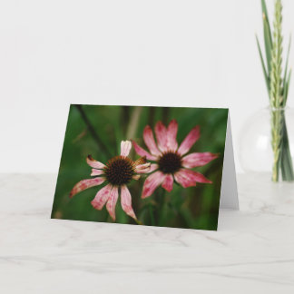 Tarjeta de felicitación de muerte de las flores