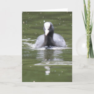 Tarjeta de felicitación de natación de algodón