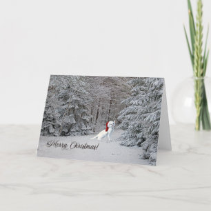 ¡Tarjeta de Felicitación de Navidad de Gato de Inv