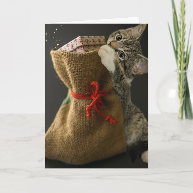 Tarjeta de Felicitación de NAVIDAD GATO ADORABLE S (Anverso)