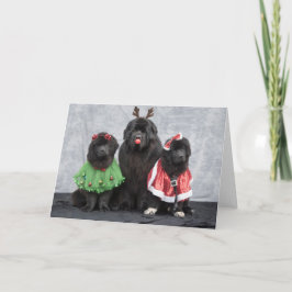 Tarjeta de Felicitación de Navidad Newfies