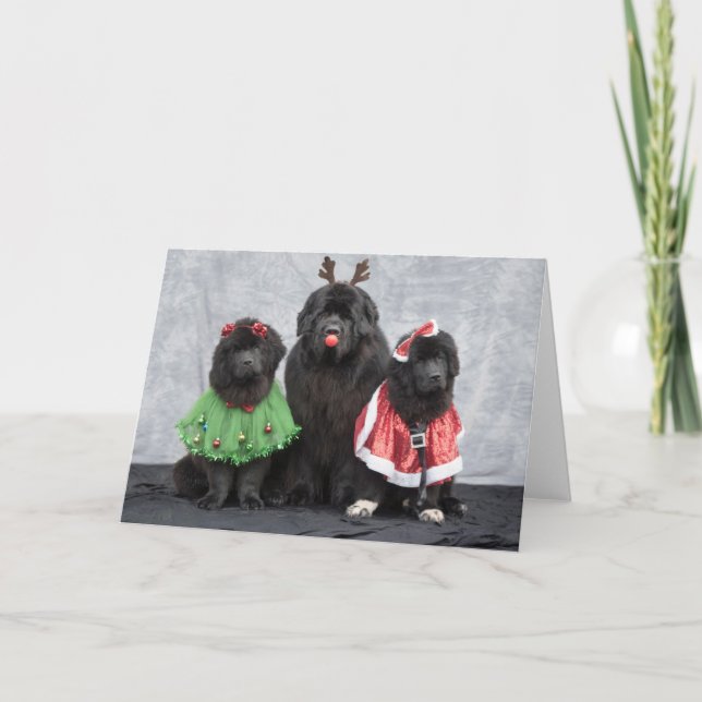 Tarjeta de Felicitación de Navidad Newfies (Anverso)