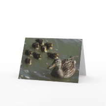 Tarjeta de felicitación de New York City