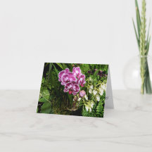 Tarjeta de felicitación de Orchids de todas las oc