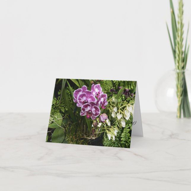Tarjeta de felicitación de Orchids de todas las oc (Anverso)