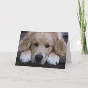 Tarjeta de felicitación de oro de las patas del