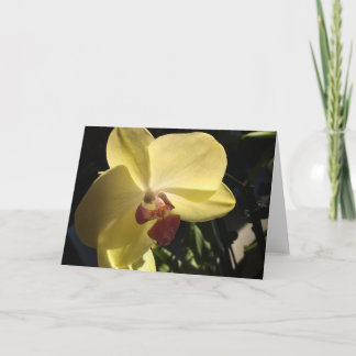 Tarjeta de felicitación de orquídea amarilla en bl