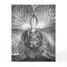 Tarjeta de felicitación de orquídea en primer plan