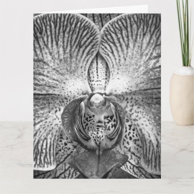 Tarjeta de felicitación de orquídea monocroma (Anverso)