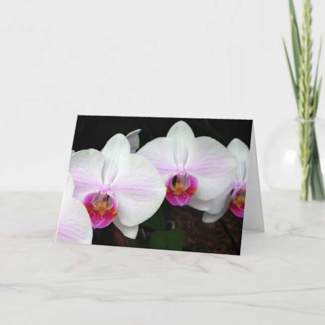 Tarjeta de felicitación de Orquídeas de Novia de R (Anverso)